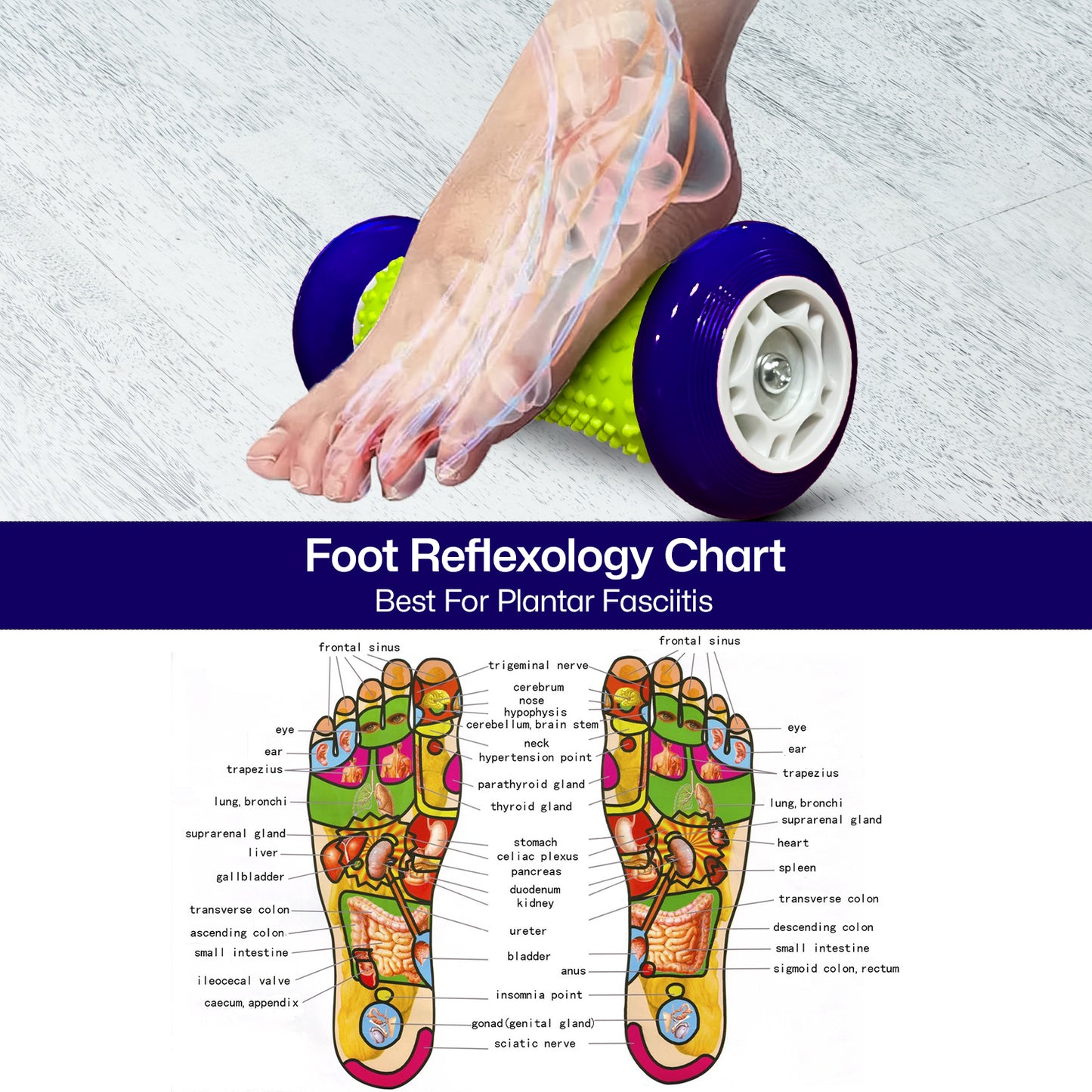 Allure Sphere Foot Massager Roller