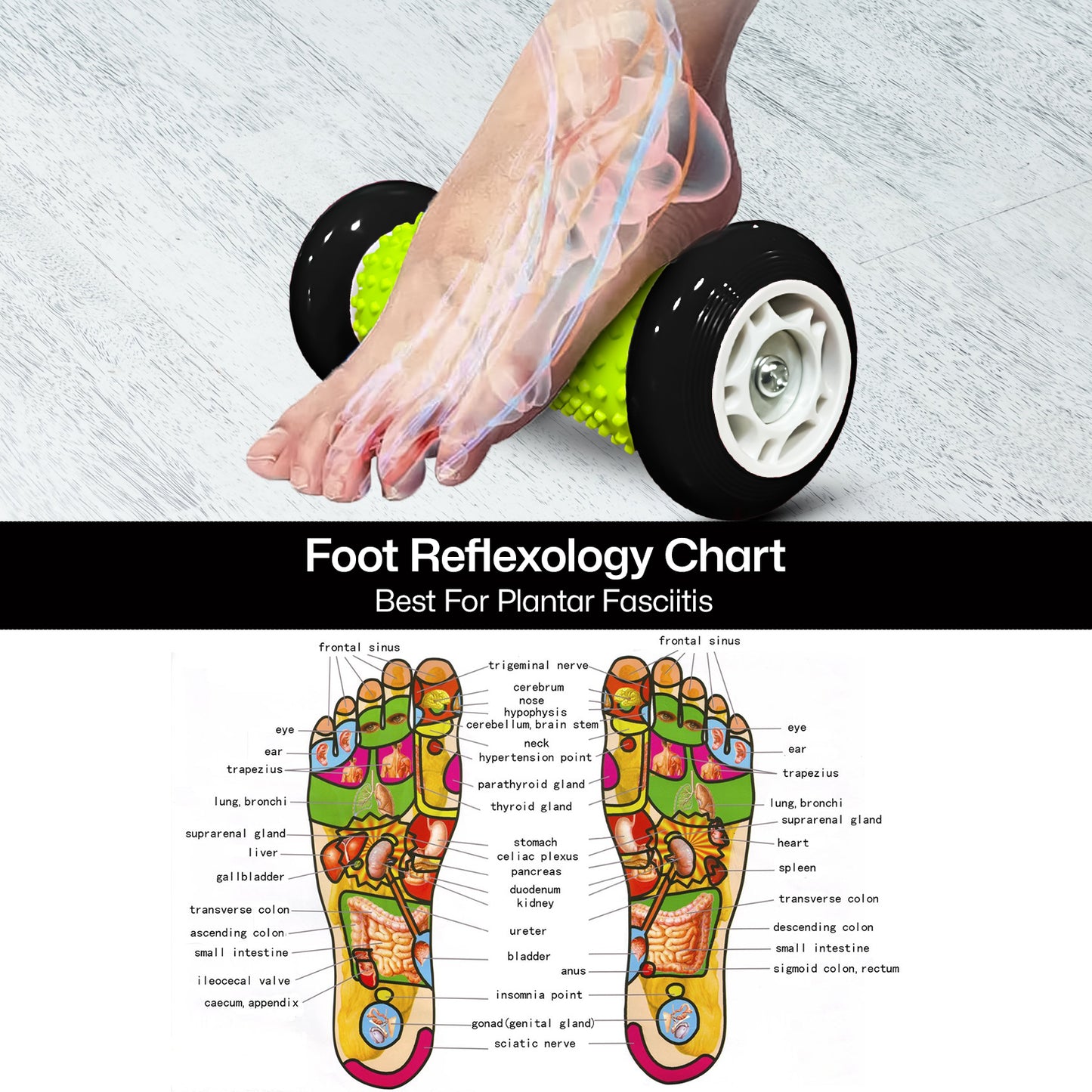 Allure Sphere Foot Massager Roller