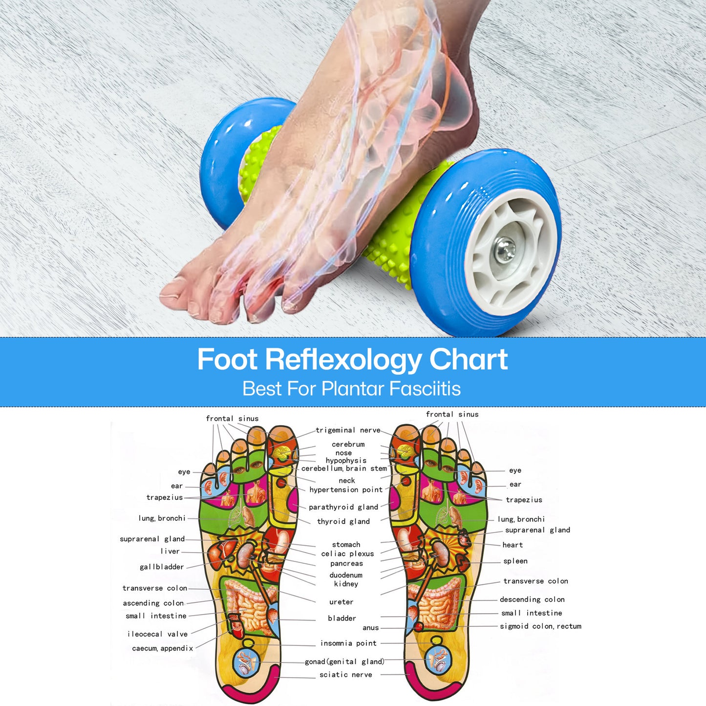 Allure Sphere Foot Massager Roller
