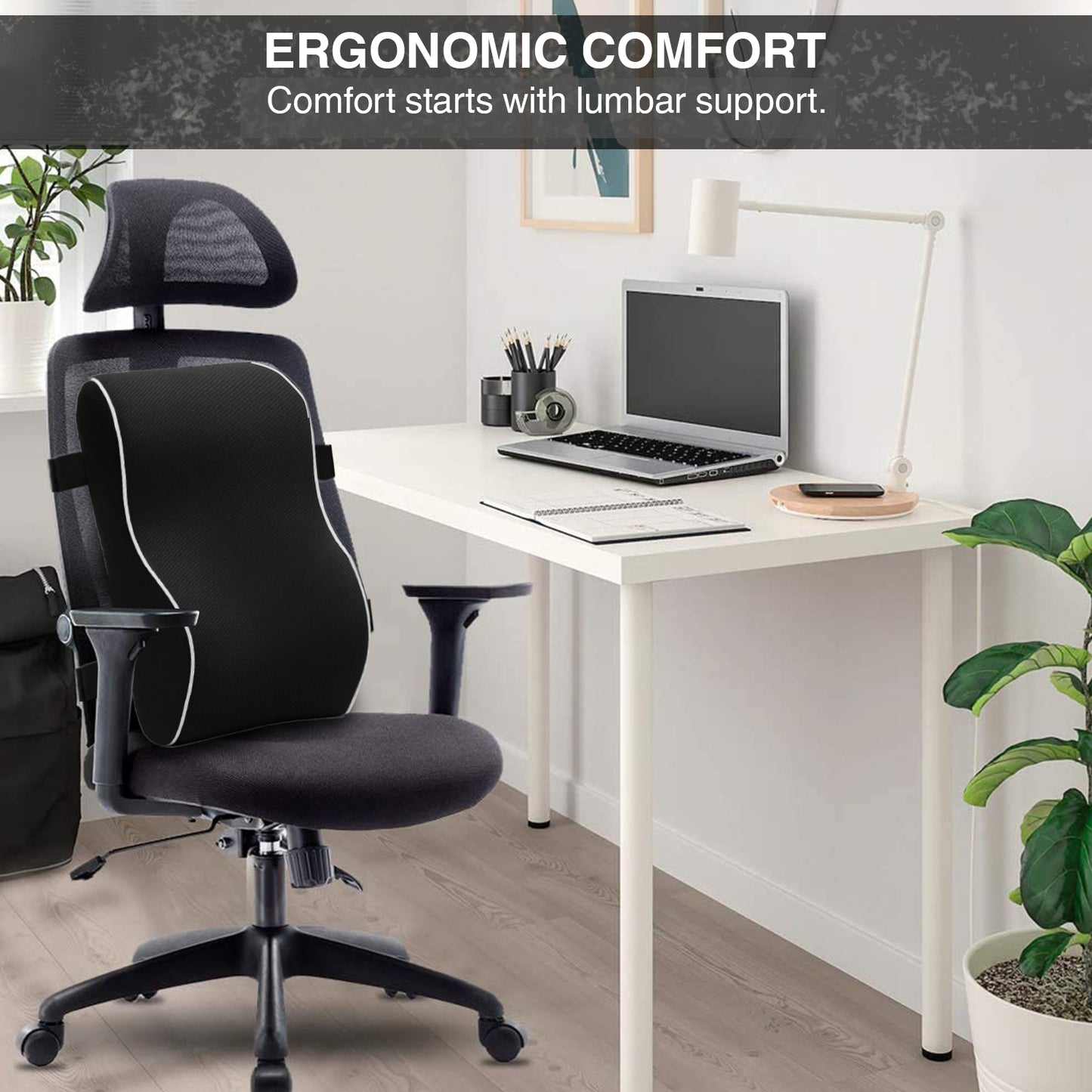 Allure Sphere Lumbar Support Cushion for Office Chair, Car & Home